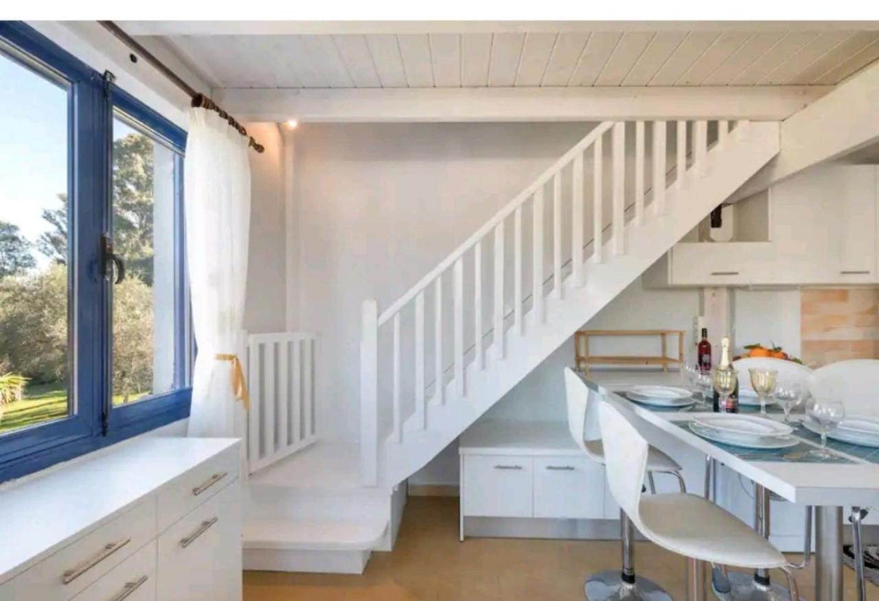 Govino Bay Luxury Beach Loft Apartment Danilia Dış mekan fotoğraf